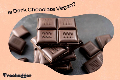 is dark chocolate vegan