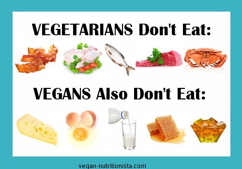 What is a vegetarian vs vegan?
