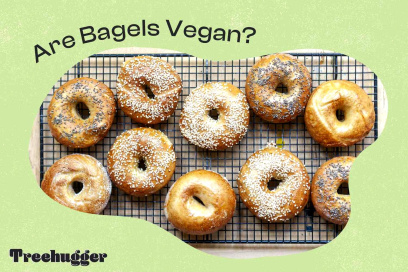 are bagels vegan