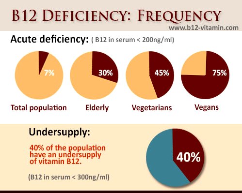 do avocados have b12