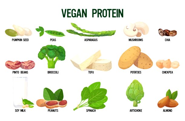 how can i raise my protein levels quickly