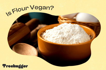 is all flour vegan