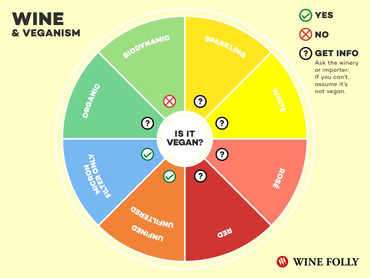 Are Cigarettes Vegan? The Surprising Truth You Need to Know! TotallyNotVegan