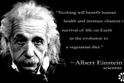 was einstein a vegan