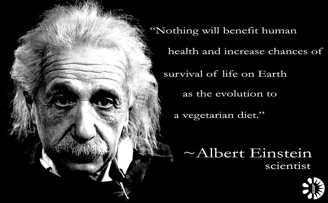 The Forgotten Diet of Our Ancestors: What Did People Eat 100 Years Ago