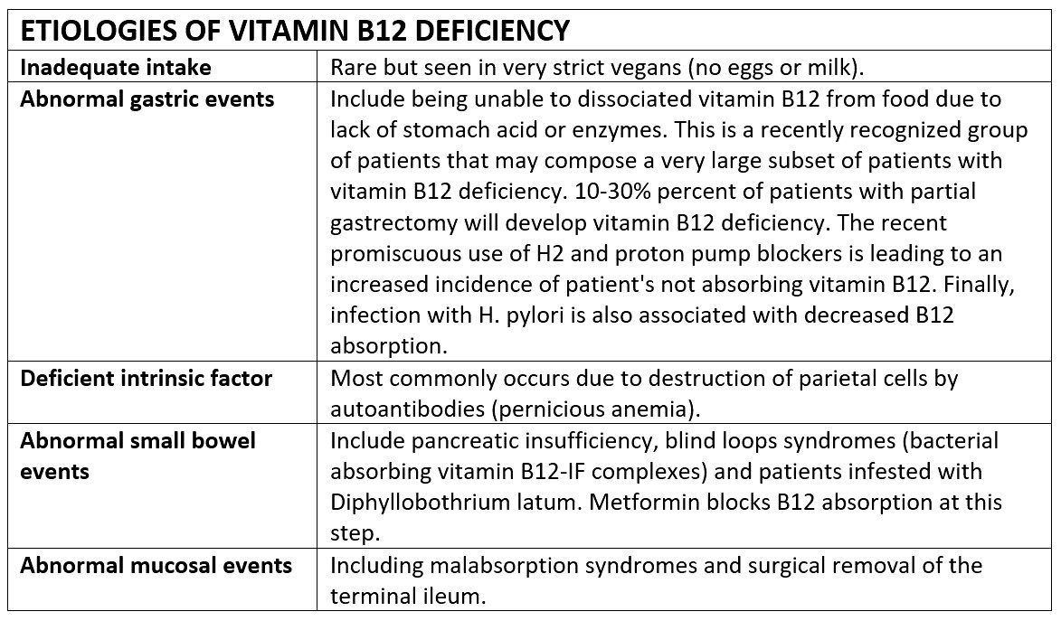 The Forgotten Diet of Our Ancestors: What Did People Eat 100 Years Ago