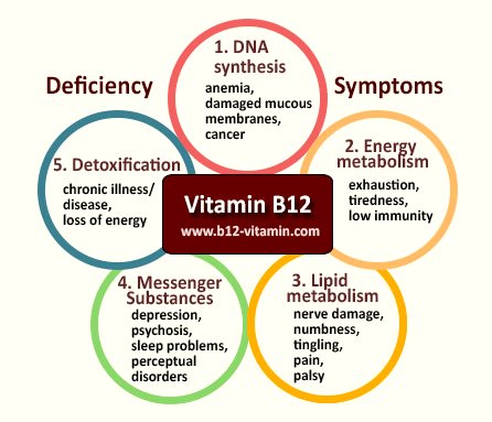 what happens if your b12 is low for too long