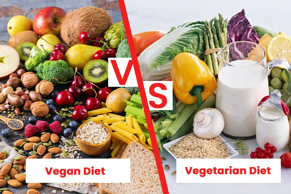 What is a vegetarian vs vegan?