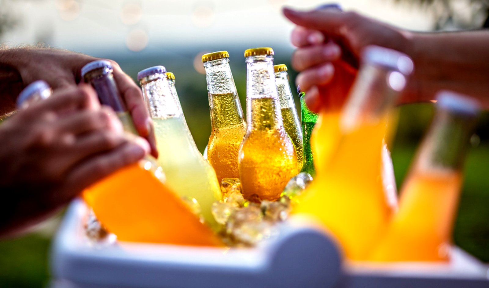Elevate Your Beer Game Top Vegan Beer Brands You Need To Try elevate-your-beer-game-top-vegan-beer-brands-you-need-to-try