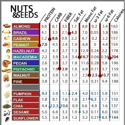 which nuts has highest protein